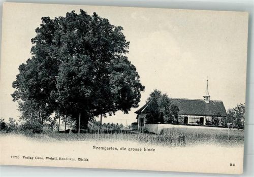 5620 Bremgarten AG Foto AK Große Linde