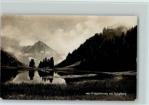 9657 Unterwasser - Gräppelensee mit Schafberg