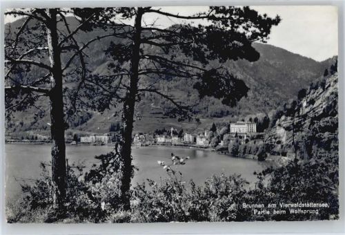 6440 Brunnen - Vierwaldstättersee, Partie beim Wolfsprung AKU2