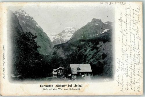 8783 Linthal 1902 - Kuranstalt Obbort Blick auf den Tödi und Selbsanft