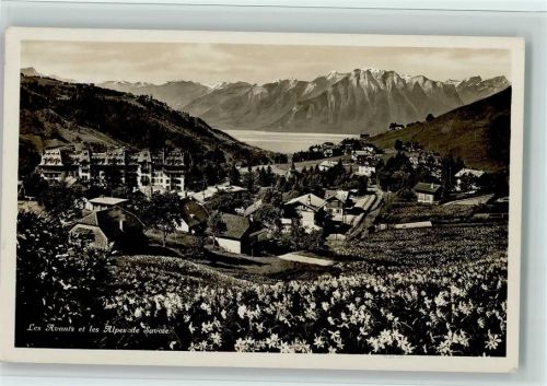1833 Les Avants - Les Alpes de Savoie blühende Narzissen