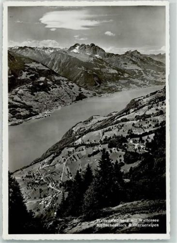 8881 Walenstadtberg - Wallensee Mürtschenstock Glarneralpen