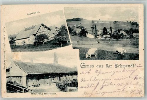 3625 Heiligenschwendi 1904 - Schwendi Schulhaus Handlung Hostettler Kühe