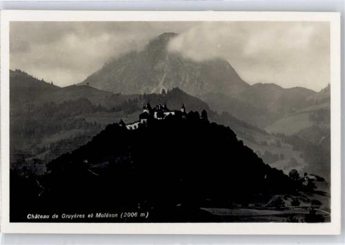 1663 Gruyères - Schloss