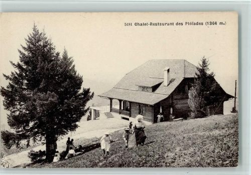 Les Pleiades - Chalet-Restaurant des Pleiades Baum