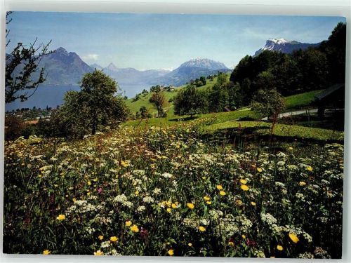 Rigi Hochflue - Kartenaktion Gewaltfreie Aktion gegen Atomkraftwerke 1987