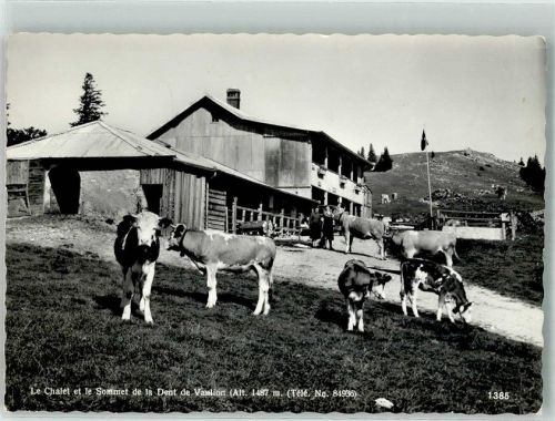 1325 Vaulion 1959 Foto AK Le Chalet