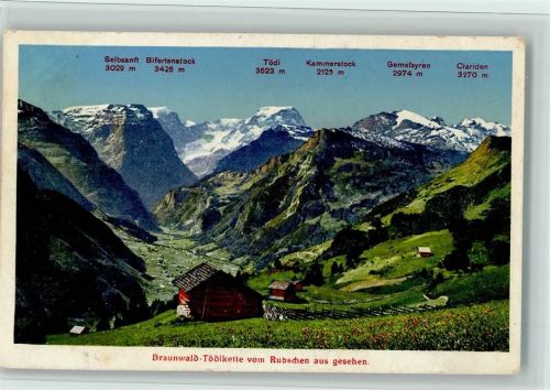 8784 Braunwald - Tödikette vom Rubschen aus gesehen Selbsanft Bifertenstock Tödi Kammerstock Gamsfayren Clariden