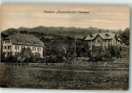 9650 Nesslau 1916 - Pension Alpenblick