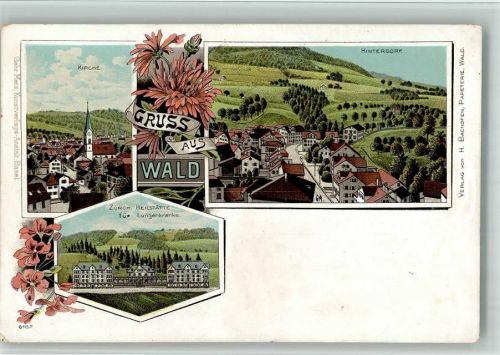 8636 Wald ZH BOAKC Lithographie Kirche Hinterdorf Zürch. Heilstätte für Lungenkranke