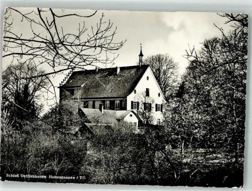 9216 Hohentannen 1961 Foto AK Schloss Oetlishausen