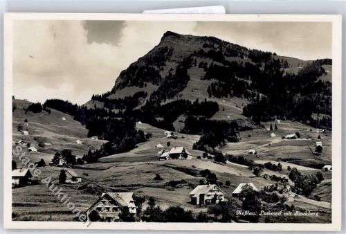 9650 Nesslau - Lutenwil mit Stockberg
