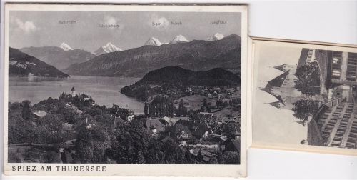 3700 Spiez AK mit Leporello ausziehbarer Papierstreifen Thunersee Faulensee Schloss Blümlisalp