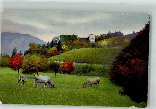 Fa. Gemix Kühe Schokolade Werbe AK