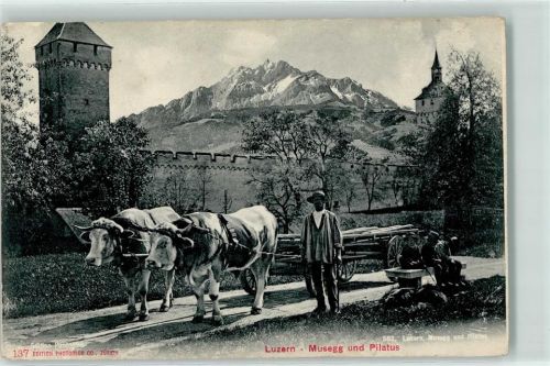 6000 Luzern Lucerne - Ochsengespann Musegg