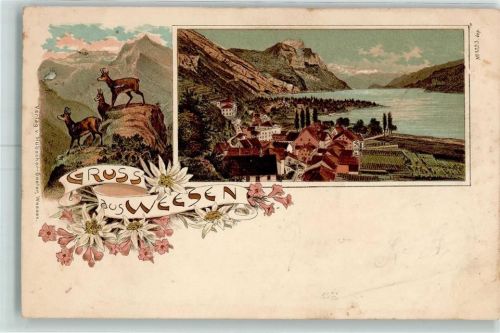 8872 Weesen 1900 Lithographie Gämsen