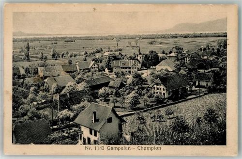 3236 Gampelen Foto AK Champion