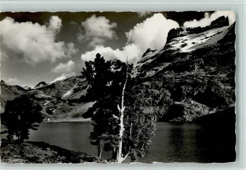3862 Innertkirchen - Engtlensee am Jochpass Titlis Reissend Nollen Wendenstöcke Baum