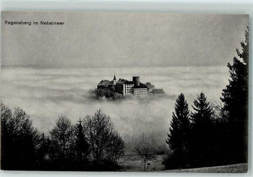 8158 Regensberg - im Nebelmeer