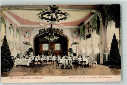 8708 Männedorf 1906 - Hotel Wildenmann Großer Saal