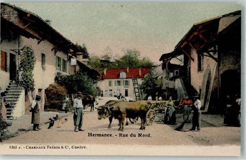 1248 Hermance - Rue du Nord Ochsenkarren