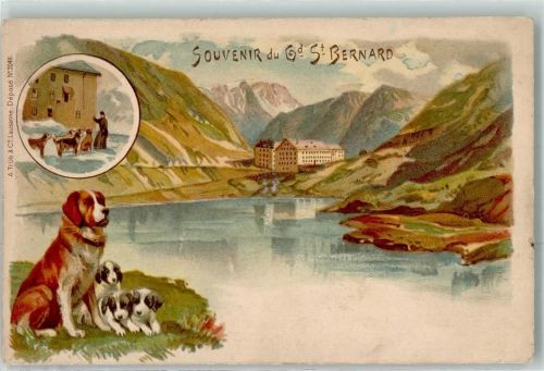 1946 Bourg-St-Pierre Gebrauchsspuren St. Bernard Bernhardiner Lithographie