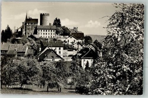 8158 Regensberg Foto AK Schloss