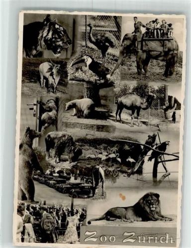Tiere Elefanten reiten Zoo 1932 Fotomontage AK