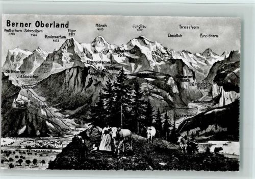 3814 Gsteigwiler Fotomontage AK Bauersfrau Kühe