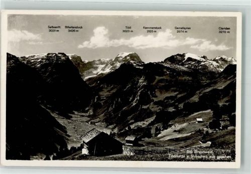 8784 Braunwald - Tödikette