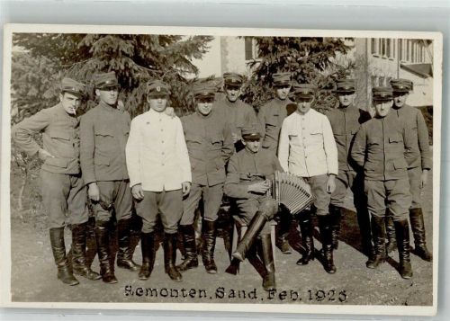 Remonten, Sand Grundausbilder bei jungen Pferden Akkordeon Militär Schweiz 1925 Gebrauchsspuren