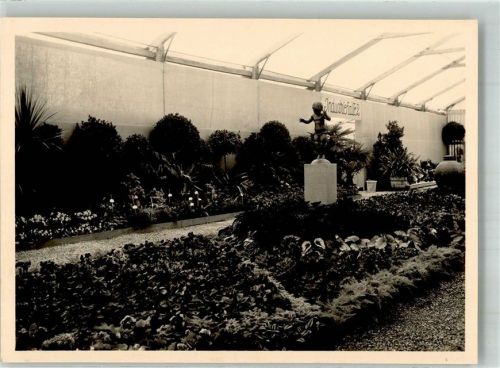 8570 Weinfelden Foto AK Ausstellung Gartenbau