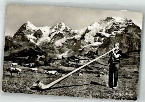 Aplhornbläser Kühe Photoglob Wehrli AG d 516 Alphorn Foto AK