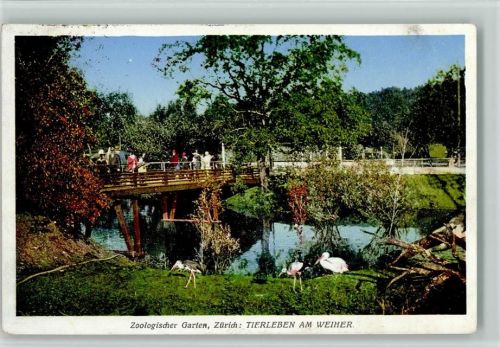 Zürich Zoologischer Garten Tierleben am Weiher Zoo