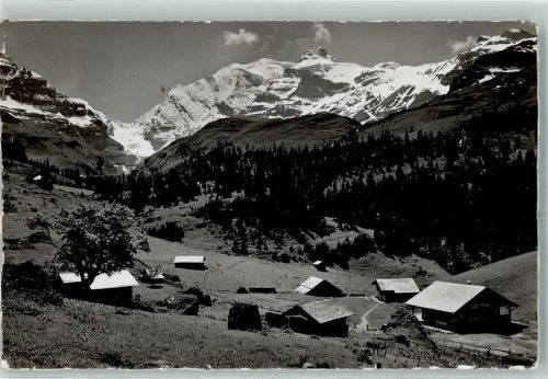 Steinenbergalp - Blümlisalp