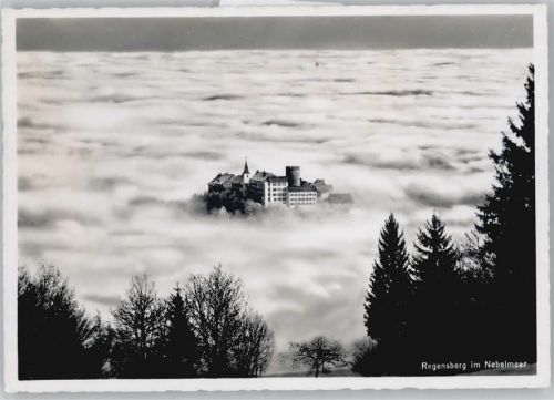 8158 Regensberg - im Nebelmeer