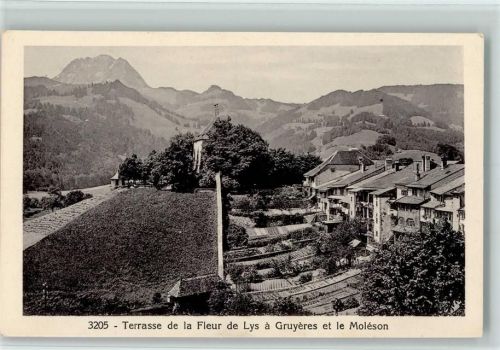 1663 Gruyères 1948 - Terrasse de la Fleur de Lys a Gruyeres et le Moleson , Verlag Morel 3205 AK