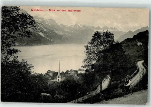 8874 Mühlehorn 1908