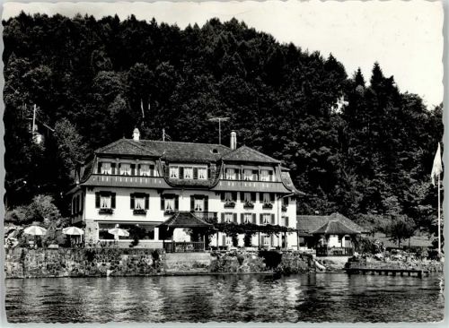 6405 Immensee 1961 - Hotel Baumgarten