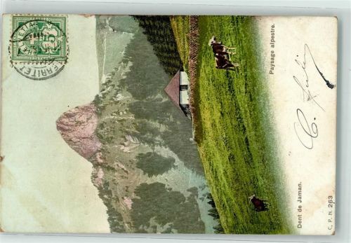 1820 Territet 1906 - Paysage alpestre Ort lt. Stempel