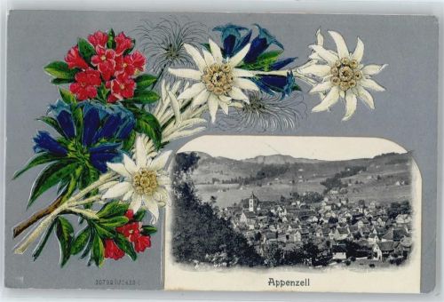 9050 Appenzell - Edelweiß, Enzian