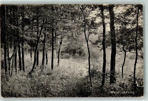 4127 Birsfelden 1909 - Waldlichtung Ort lt. Stempel