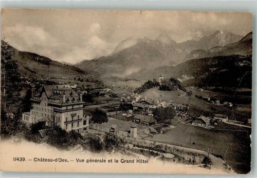 1660 Château-d´Oex 1907 Foto AK