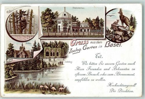 Basel Bâle Zoolog. Garten Elefantenhaus Gämse Braunbär Hirschhaus Eulenburg Flamingos Zoo Lithographie