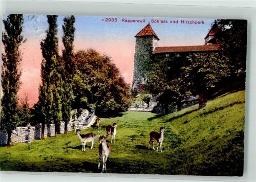 8640 Rapperswil SG 1912 - Hirschpark Schloss