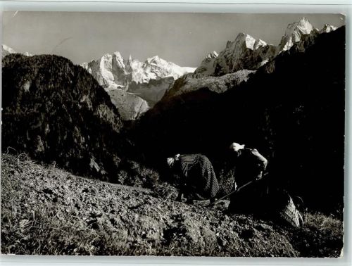 7610 Soglio - Kartoffelernte bei Soglio Blick in die Scioragruppe