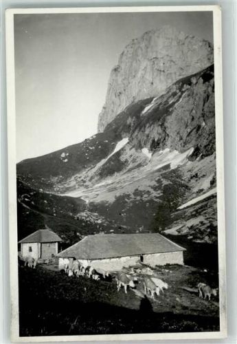 Obere Walalp