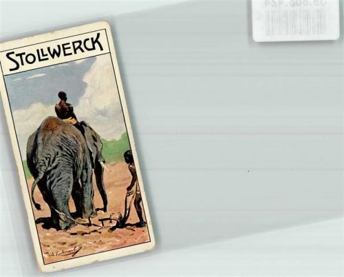 Sahne-Schokoladen Tierreich-Sammelalbum No. 11. Gruppe 460 No. III. KEINE AK Stollwerck Schokolade Gebrauchsspuren