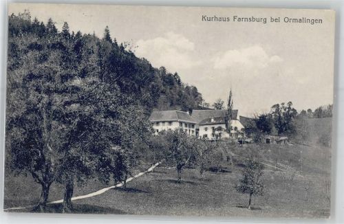 4466 Ormalingen Gebrauchsspuren Kurhaus Farnsburg