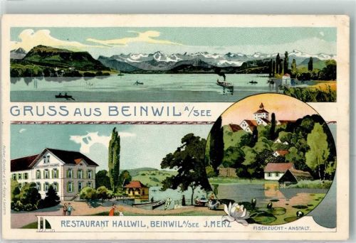 5712 Beinwil am See 1910 Lithographie Gasthaus Hallwil J. Merz Fischzucht-Anstalt Seerose